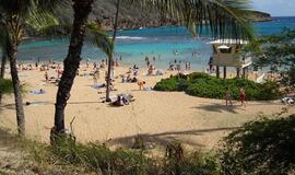 Havajus palikusi lietuvė: Tėvynei reikia duoti antrą šansą