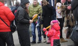 Stintapūkio šventė