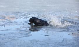 Ugniagesiai vaidina skęstančiuosius