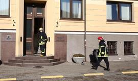 Po grasinimo susprogdinti - klaipėdiečių apklausa