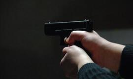Septyni paaugliai grasino pistoletu ir praskėlė galvą