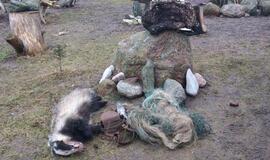 Tik nubaustas, brakonierius vėl statė kilpas