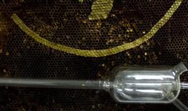 Galerijoje - &quot;vidinės atminties archyvas&quot;