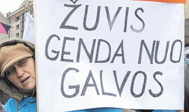 Kada, jei ne prieš rinkimus, skelbti apie aferas?