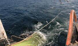 Per metus žvejai Baltijoje prasižengė dvigubai daugiau