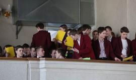 Vytauto Didžiojo gimnazijoje - gyva trispalvė