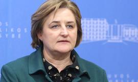 Seimo pirmininkė nori visuomeninių konsultantų