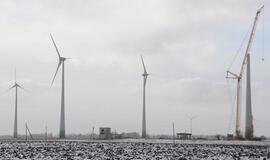 Vėjo jėgainėms Lietuvoje trukdo paukščiai, saulės energijai - debesys?