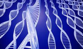 Daugėja genetikos atradimų