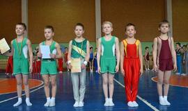 Gimnastams - nugalėtojų taurė