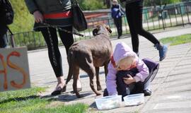 Patiekalas kito mamai