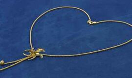 Tamsaus gymio vaikinas nuplėšė dvi grandinėles