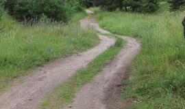 Vairuotoją apiplėšė miško kelyje