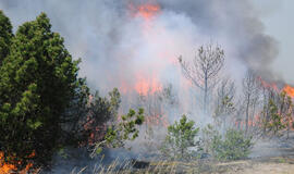 Parko teritorijoje gali būti uždrausta rūkyti