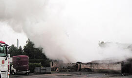 Ugnyje užduso tūkstantis fazanų