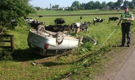 Užmigusio jaunuolio "Opel" atsidūrė ganykloje