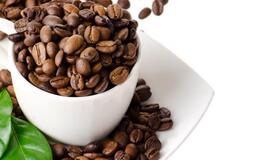 Ar tirpi kava nekenkia sveikatai?