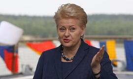 Dalia Grybauskaitė ragina ES įvesti ginklų embargą Rusijai