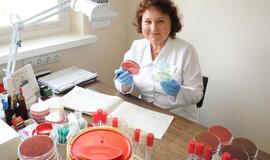 Medicinos mikrobiologai "gaudo" infekcinių ligų sukėlėjus