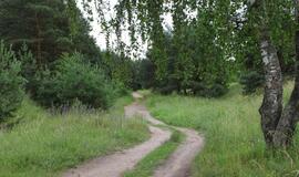 Palangoje užpultas ir apiplėštas žmogus