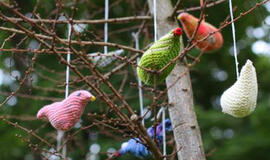 Kultūrinės erdvės "I love Palanga" renginiai