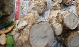 "Lietuviškasis imbieras": valo organizmą ir malšina skausmą