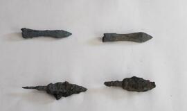 Radiniai Klaipėdos piliavietėje