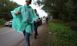 Karklė 2014 Live Music Beach