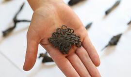 Radiniai Klaipėdos piliavietėje