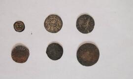 Radiniai Klaipėdos piliavietėje