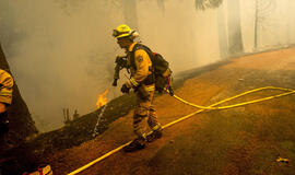 Kalifornijoje plinta miškų gaisrai