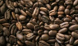 Kavos genai padeda užsiplikyti idealų gėrimą