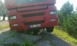 Latvis gali švęsti antrą gimimo dieną