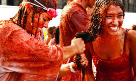 Olandai mėtydamiesi pomidorais protestavo prieš Rusijos draudimą importuoti žemės ūkio produktus