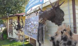 Šventojiškių sueiga aikštėje prie Šventosios kultūros centro