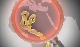 Siera Leonės gyventojams dėl Ebolos viruso karantino draudžiama išeiti iš namų