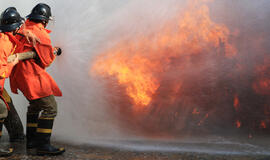 Vilniaus rajone per gaisrą žuvo vyras