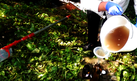 Žydros svajonės apie naują kadenciją įklimpo nuotekų liūne