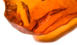 Moteris iš parduotuvės bandė pavogti gabalą gintaro