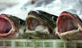 Dėl nuostolių žvejai kaltina ES