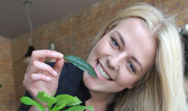 Lauras - ne tik pergalės simbolis