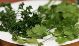 Norintys stiprinti imunitetą turėtų prisiminti žoleles