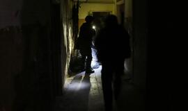 Pratybos "Staigus atsakas"