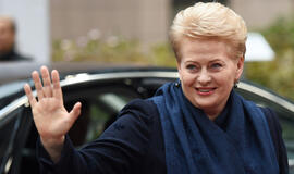 Prezidentė Dalia Grybauskaitė: saugi ir demokratinė Ukraina - visos Europos interesas