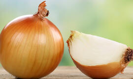 Gerosios svogūno savybės