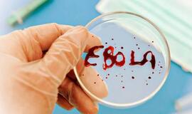 Klaipėdoje vyko Ebolos viruso stalo pratybos