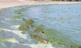 Kuršių mariose ir upėse kasdien slūgsta vanduo