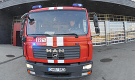 Padegėliai troško gaisrų dūmuose