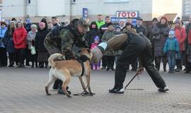 Žemaitijoje vyko iškilmingi kariuomenės dienos minėjimai