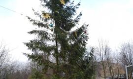 Eglučių miesto kiemuose puošimas